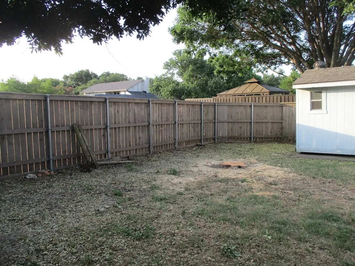 Cleared yard after professional tree removal in Turin